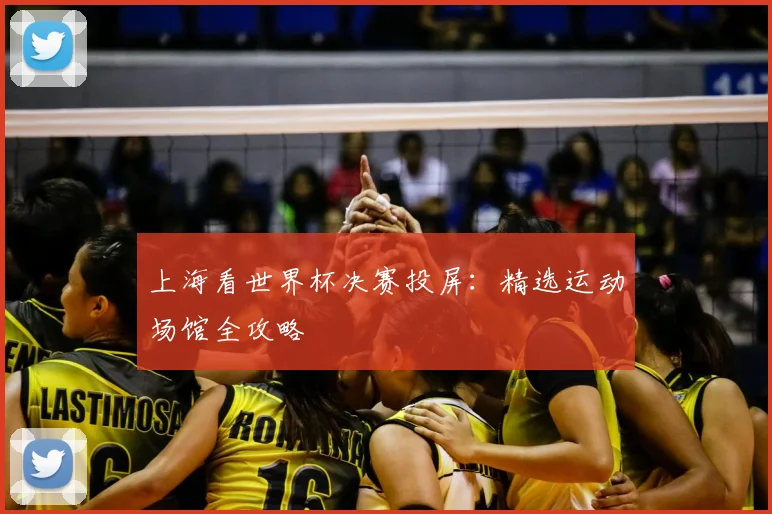 上海看世界杯决赛投屏：精选运动场馆全攻略