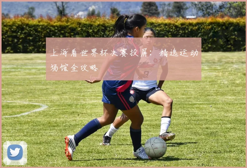 上海看世界杯决赛投屏：精选运动场馆全攻略