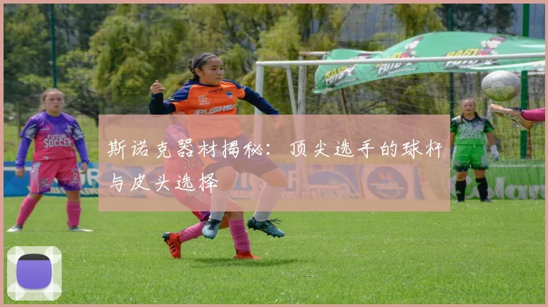 斯诺克器材揭秘：顶尖选手的球杆与皮头选择