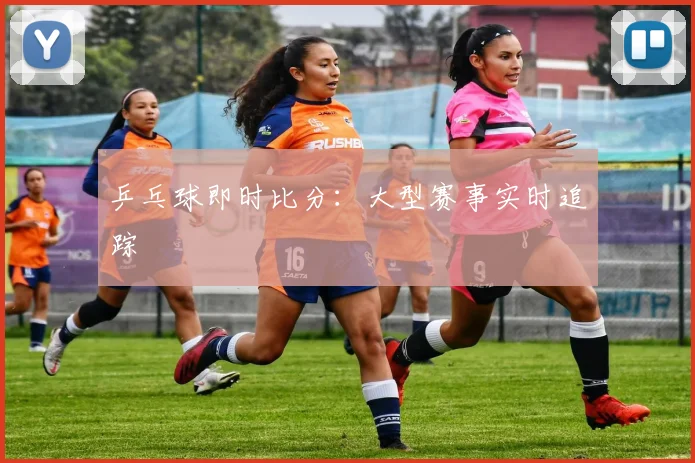乒乓球即时比分：大型赛事实时追踪