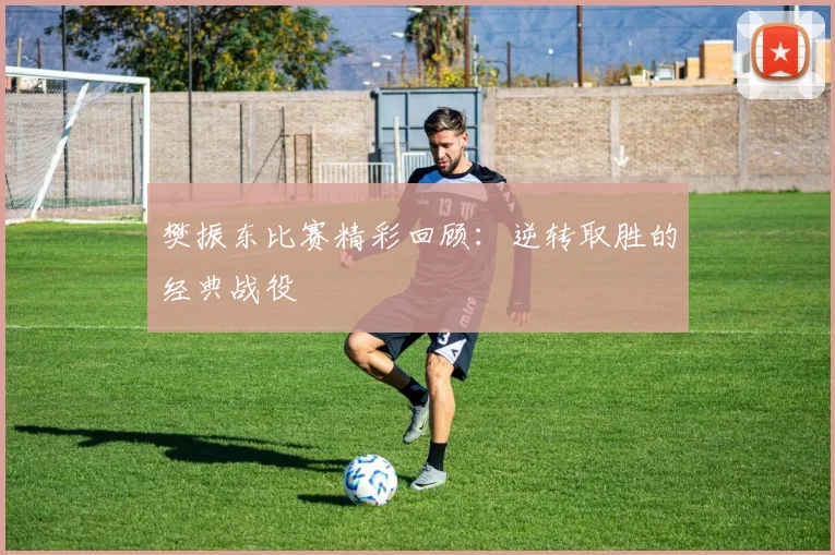 樊振东比赛精彩回顾：逆转取胜的经典战役
