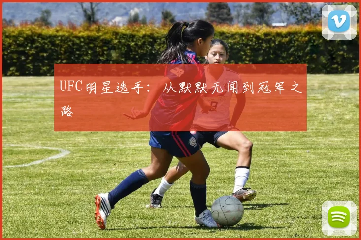UFC明星选手：从默默无闻到冠军之路
