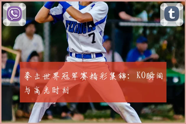 拳击世界冠军赛精彩集锦：KO瞬间与高光时刻