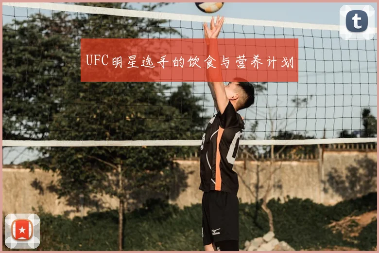 UFC明星选手的饮食与营养计划